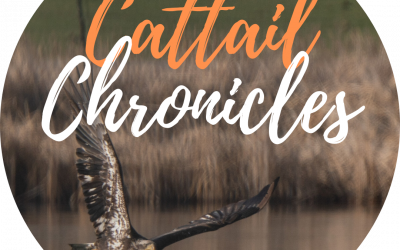 FIRSTS continued April 2020