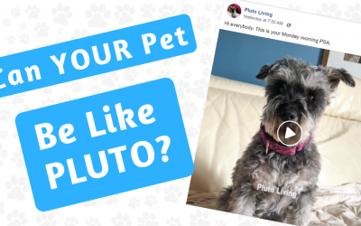 FIRSTS for Week 2 of April