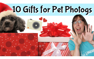 10 Must Have Gifts for Pet Photographers
