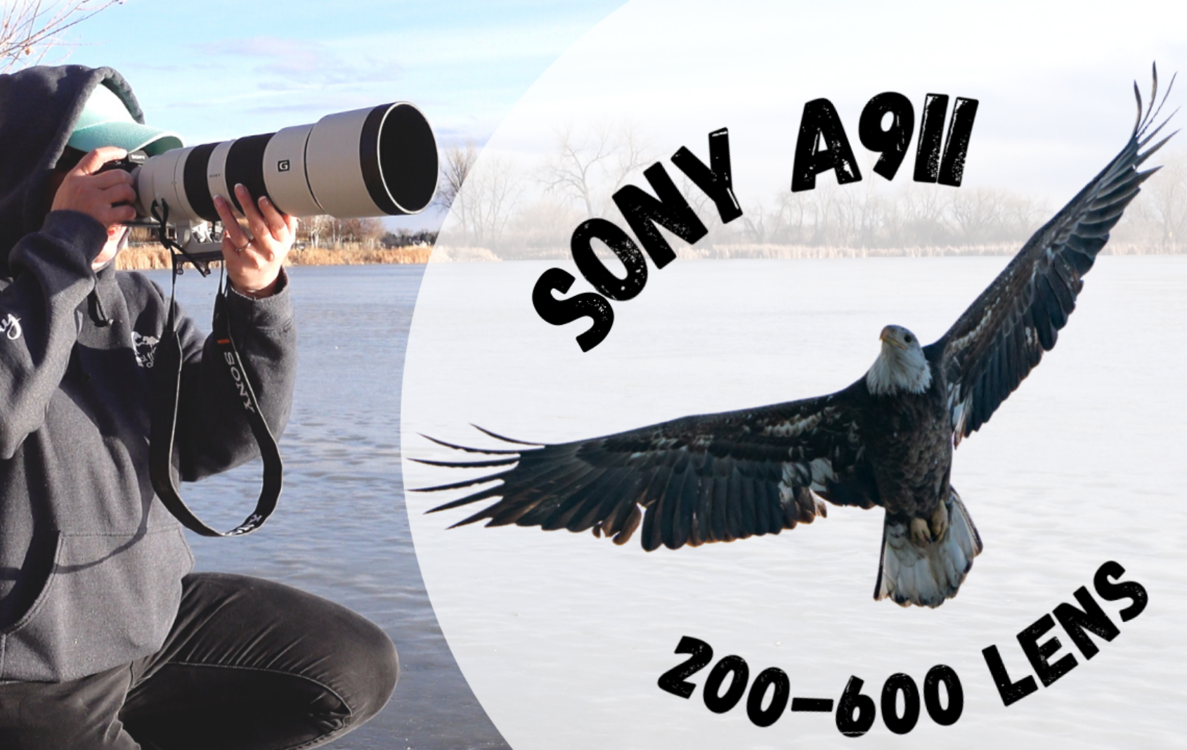 Bald Eagle Break Blog Header