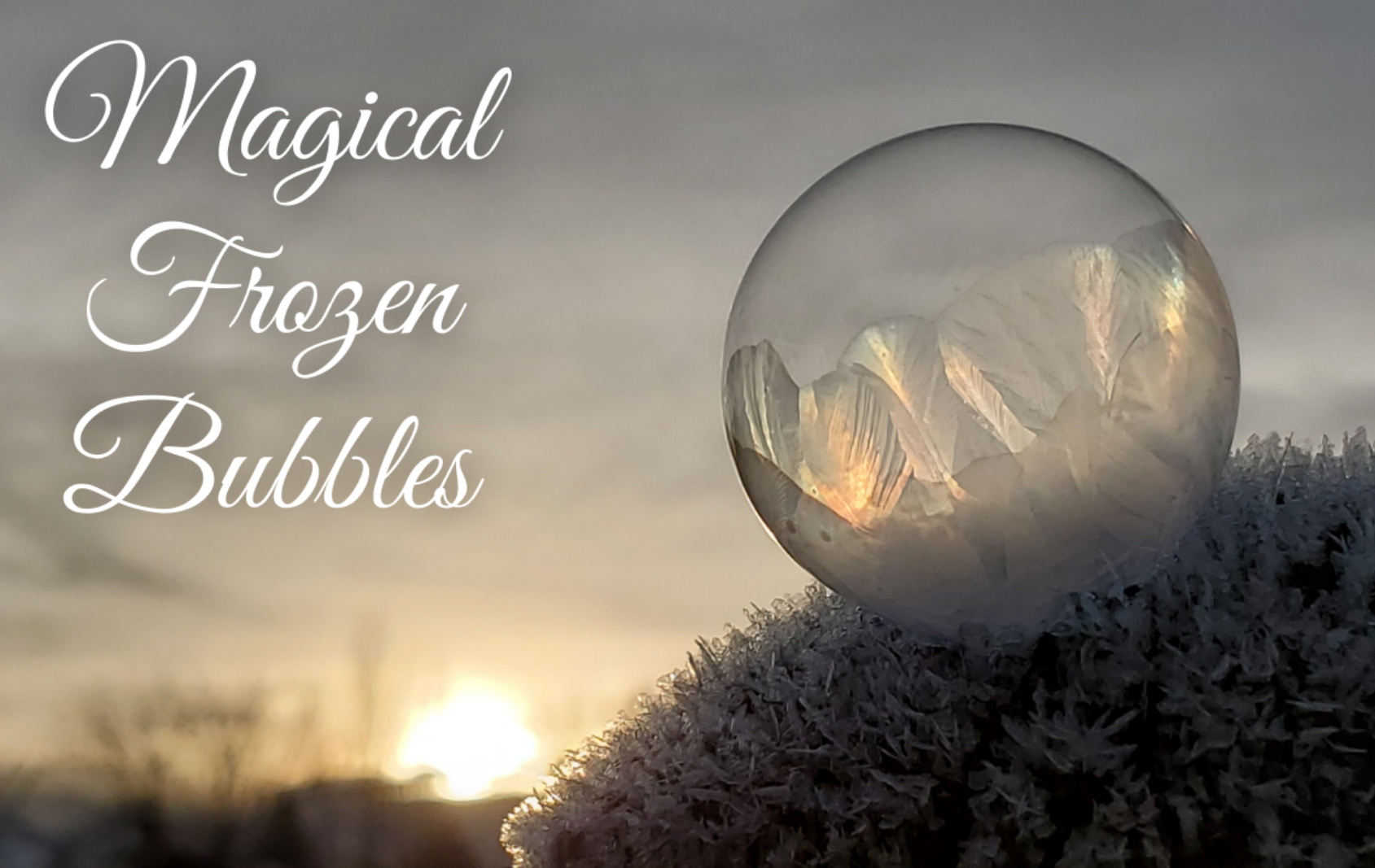 magical frozen bubbles blog header magical frozen soap bubble at sunrise photo