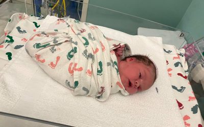 Newest Family Addition!