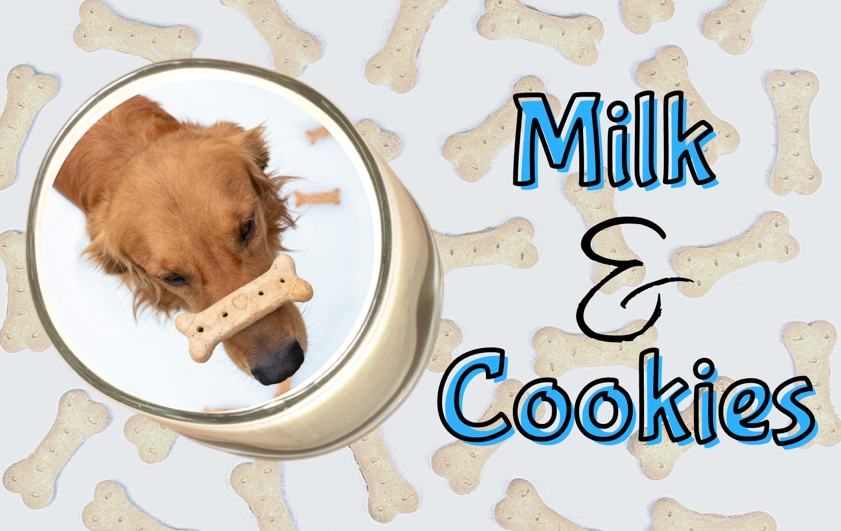 blog header