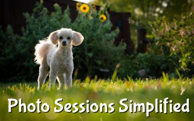 Overcomplicated –> Simplified