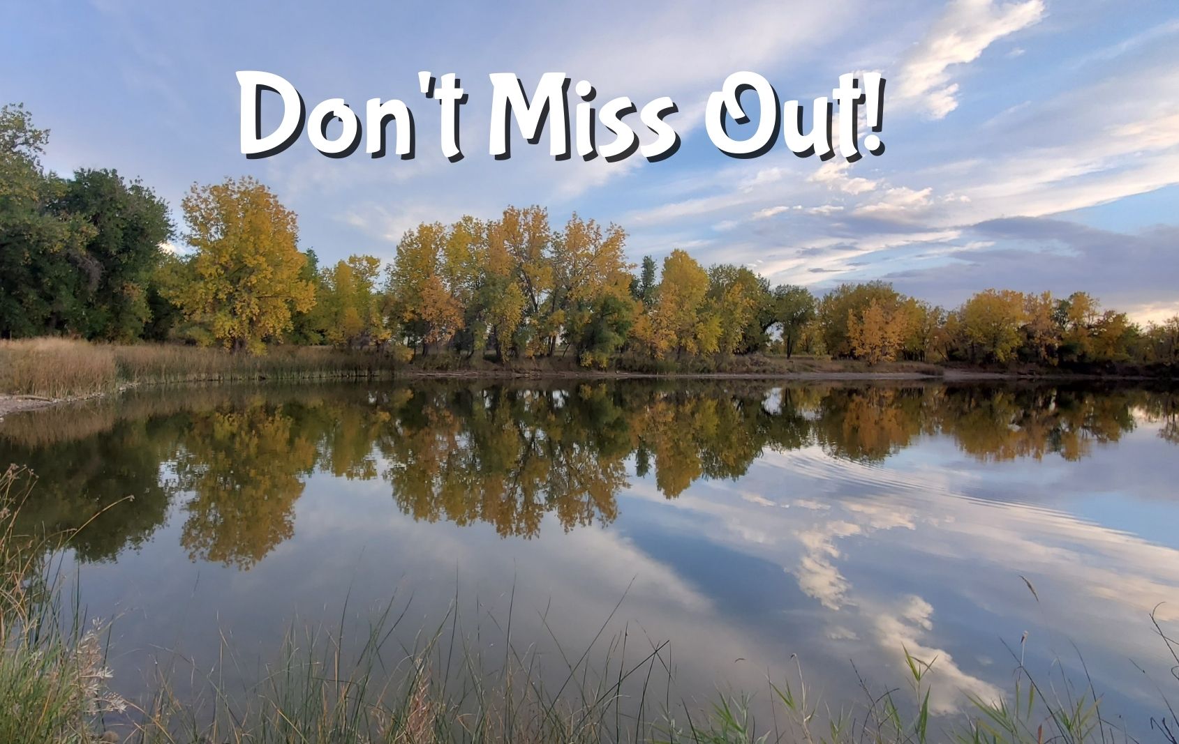 dont miss out winter is coming blog header