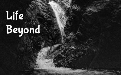 Life Beyond the Waterfall