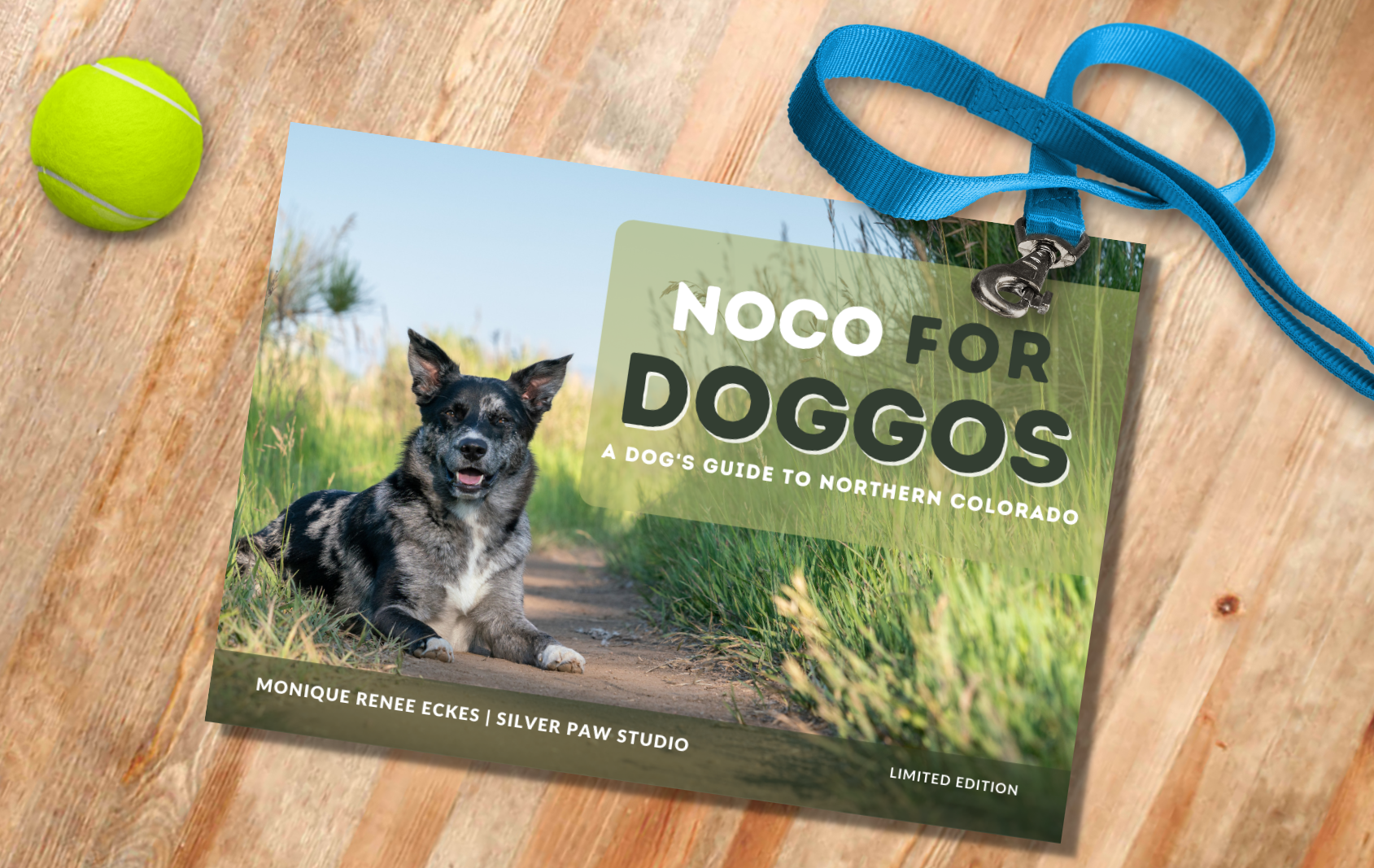noco for doggos coming soon blog header