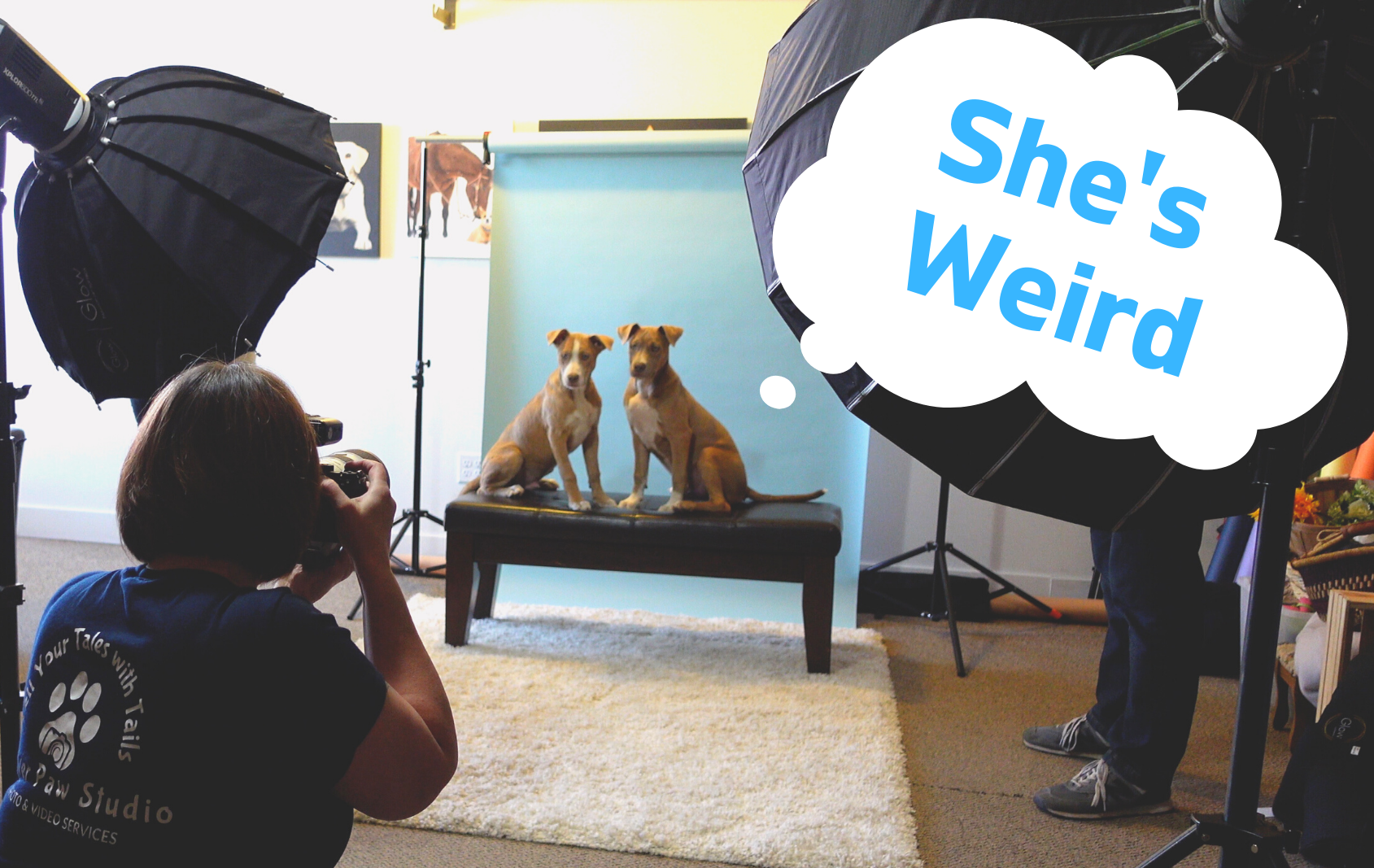 shes weird blog header