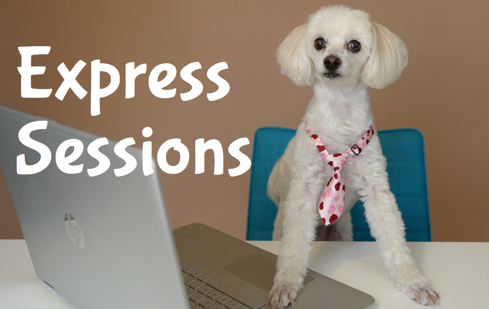 Express Sessions blog header