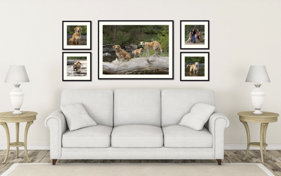 Protected: The Goods