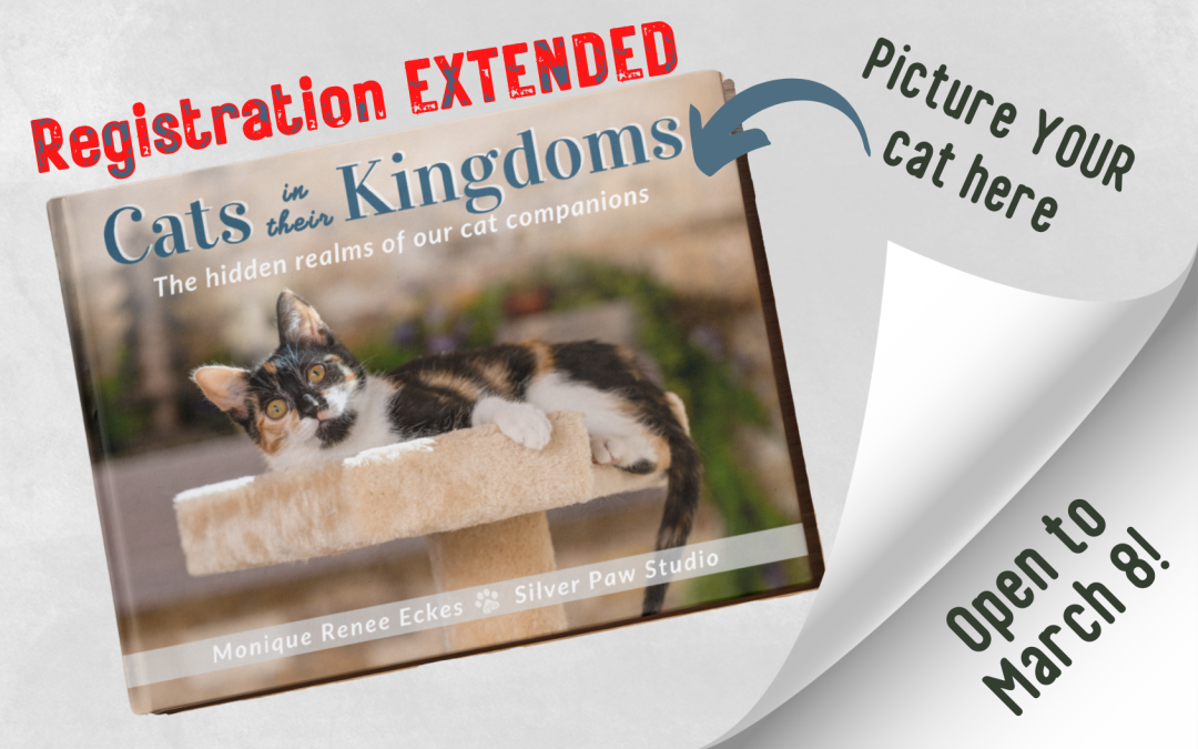 Cats in their Kingdoms Book Project