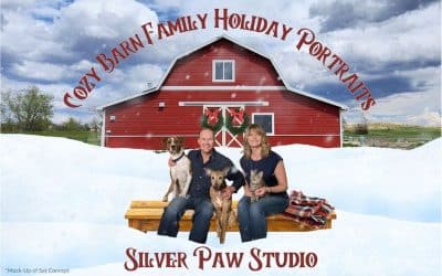 Cozy Barn Family Holiday Portraits