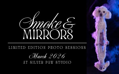 Smoke & Mirrors Limited Photo Sessions