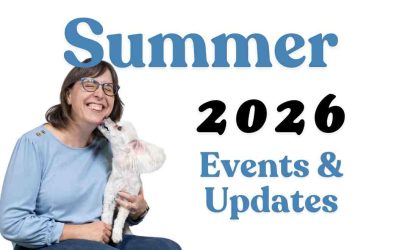 Summer Updates & Events