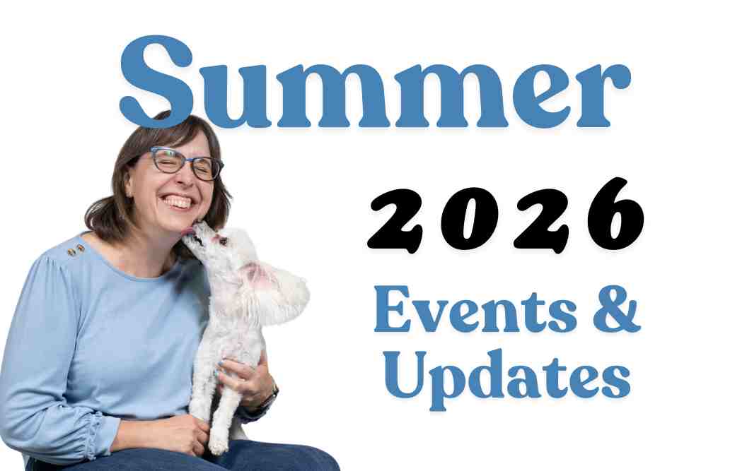 summer 2026 blog header